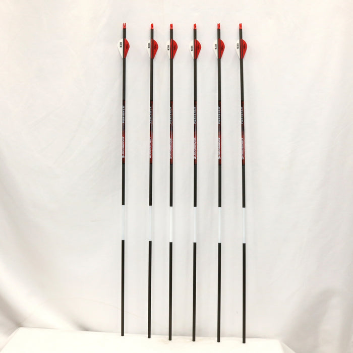 Bloodsport Archery #B10040406 Punisher Arrows 400 Spine Hunting