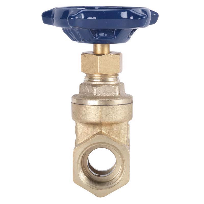 Homewerks #170-2-2 2 in. FIP Brass Gate Valve