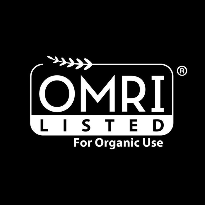 Ortho #4613406 GroundClear Weed and Grass Killer RTU Liquid ~ 2-Pack ~ 48 oz Total