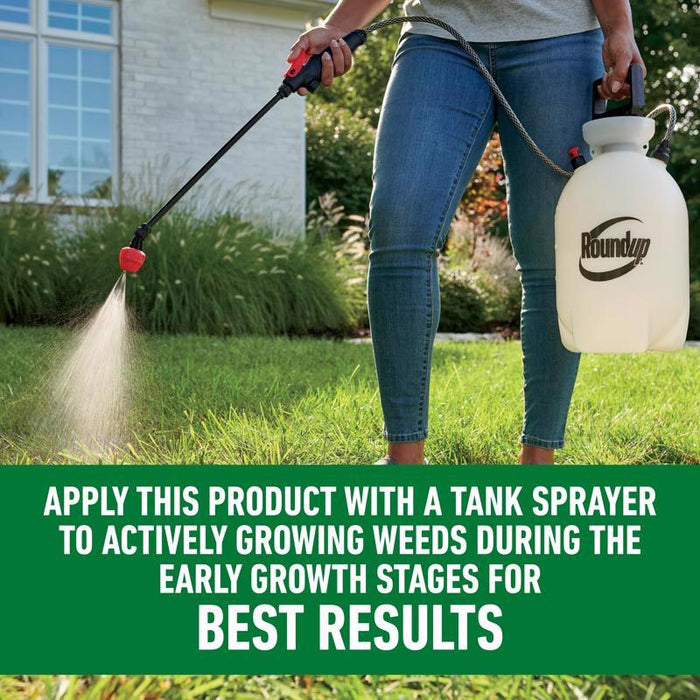 Roundup #5020310 Weed Killer Concentrate For Lawns ~ 2-Pack ~ 64 oz Total