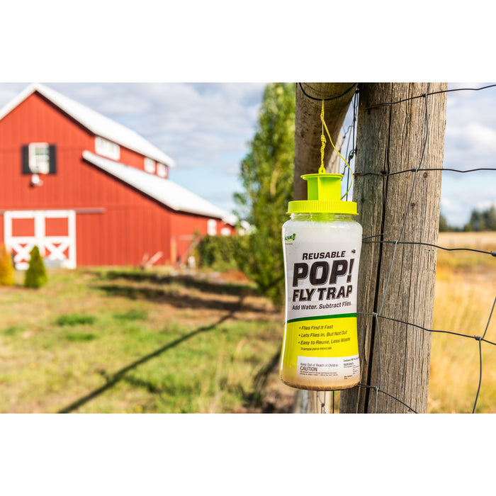 RESCUE #PFTR-BB4 POP Outdoor Hanging Fly Trap Large Capacity ~ 2-Pack