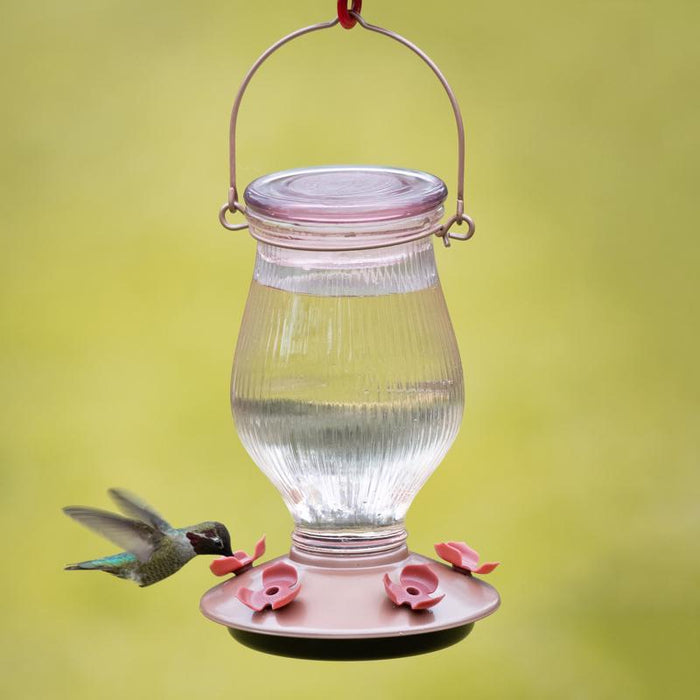Perky-Pet #9104-2 Hummingbird 24 oz Glass/Plastic Nectar Feeder 5 ports ~ 2-Pack