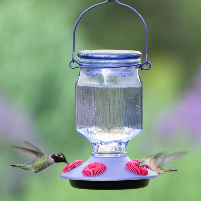 Perky-Pet #9101-2 Lavender Glass Hummingbird Nectar Feeder ~ 2-Pack