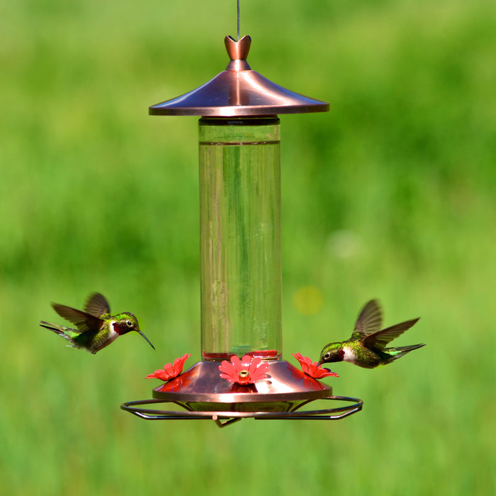 Perky-Pet #710B Hummingbird 12 oz Copper/Glass Nectar Feeder 4 ports ~ 2-Pack