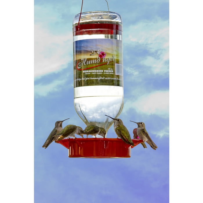 Humdinger #105 Hummingbird 32oz Glass Bottle Nectar Feeder ~ 2-Pack