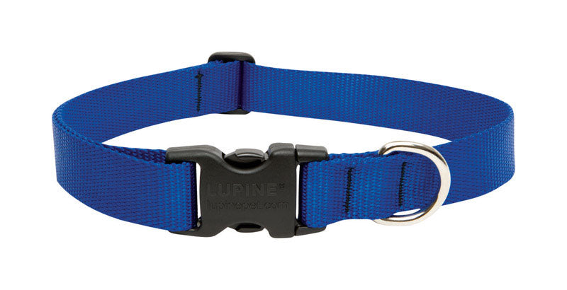 Lupine #17553 Pet Basic Solids Blue Blue Nylon Dog Adjustable Collar