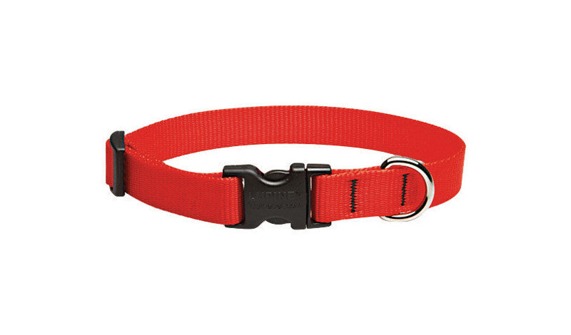 Lupine #22501 Pet Basic Solids Red Red Nylon Dog Adjustable Collar