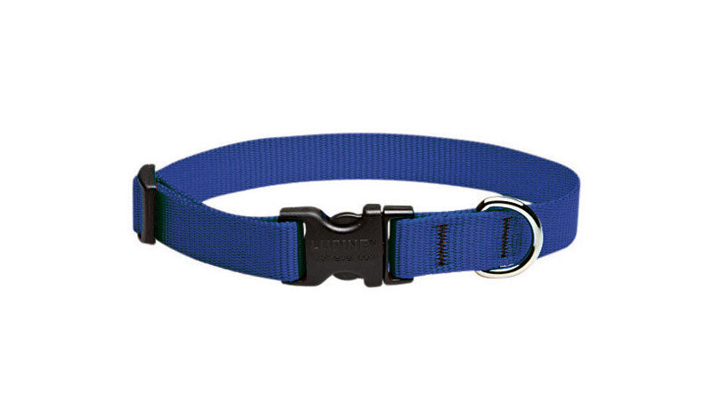 Lupine #17501 Pet Basic Solids Blue Blue Nylon Dog Adjustable Collar
