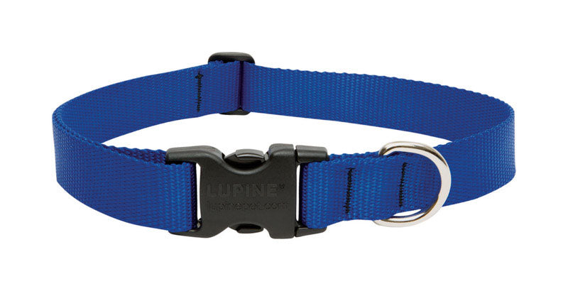 Lupine #17552 Pet Basic Solids Blue Blue Nylon Dog Adjustable Collar