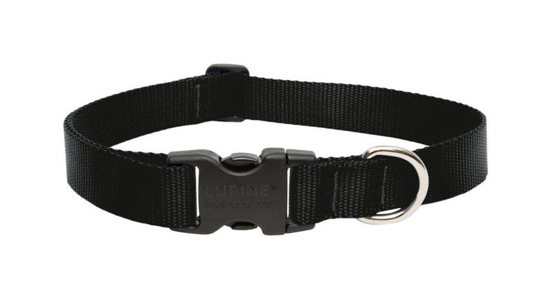 Lupine #27553 Pet Basic Solids Black Black Nylon Dog Adjustable Collar