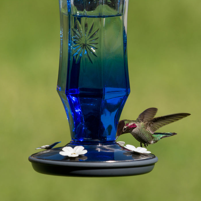 Perky-Pet #8129-2 Hummingbird 16 oz Glass/Metal Nectar Feeder 4 ports ~ 2-Pack