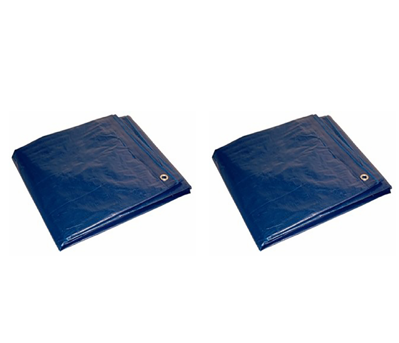 Foremost Tarp Co. 8 ft. W X 10 ft. L Heavy Duty Polyethylene Tarp Blue ~ 2-Pack