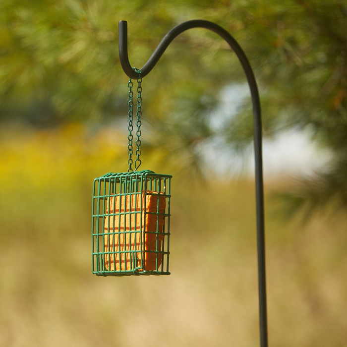 C&S Products #CS12553A Hot Pepper Delight Beef Suet Wild Bird Food ~ 6-Pack