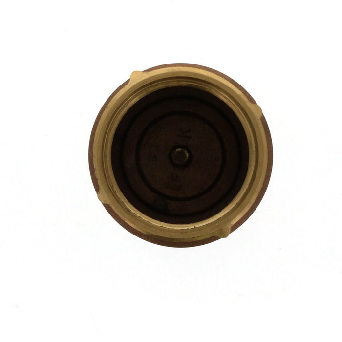 Campbell #CV-8TYB-LF Stainless Steel 2" Spring Check Valve Brass