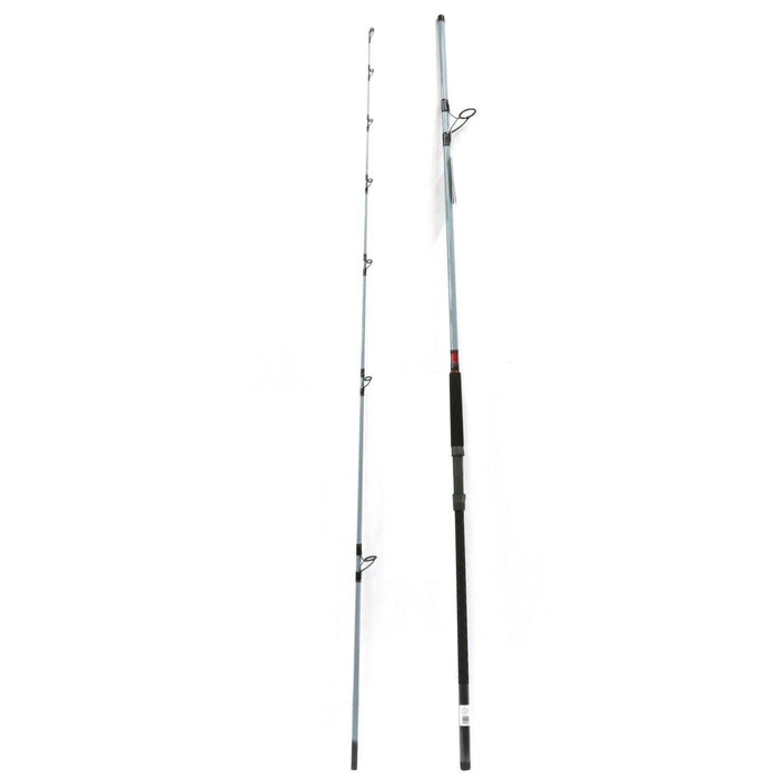 Daiwa #TDSF1002MFS Medium 10ft Fast Surf Spinning Fishing Rod