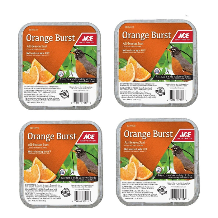 Heath Outdoor Products #DD14 Orange Burst All Season Suet Cake ~ 4-Pack