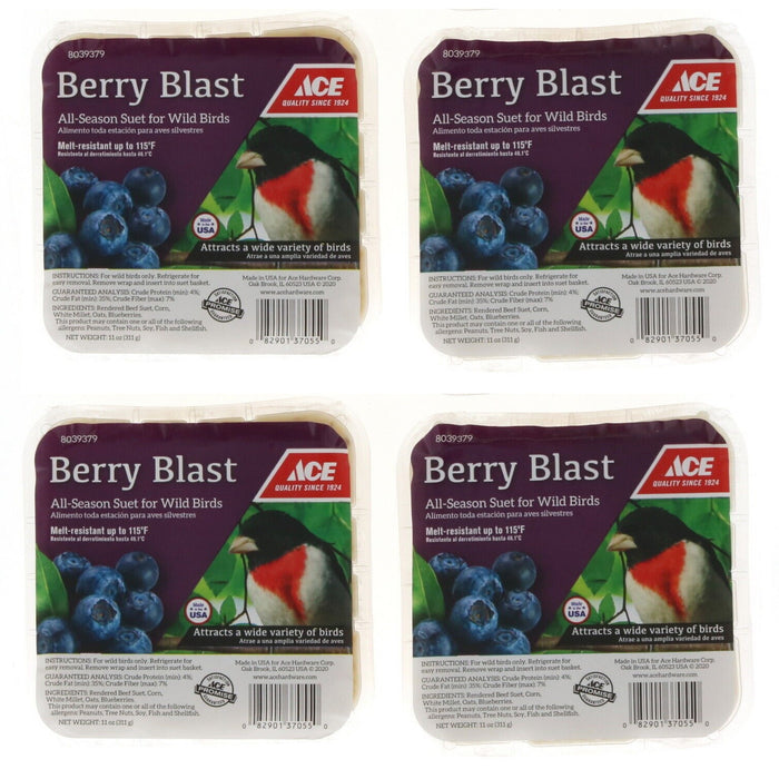 Ace Hardware #DD-15 Wild Bird Berry Suet Cake Treat 11.25oz ~ 4-Pack